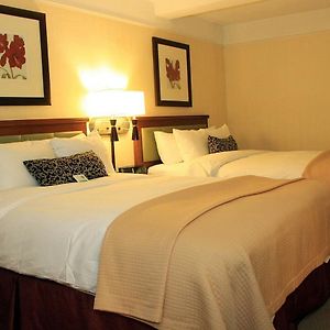 Camera deluxe con letto queen size